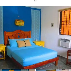 Casa De Hojas , Playa del Carmen México